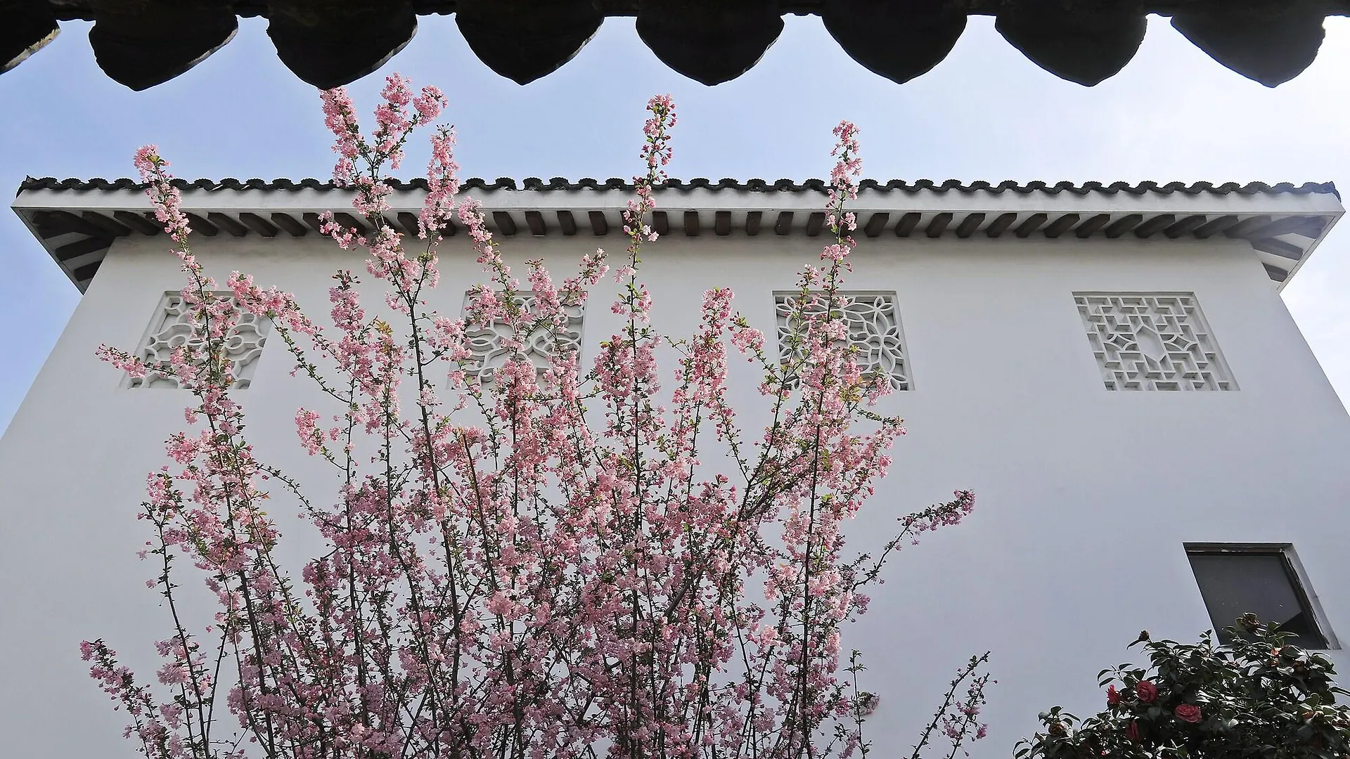 Pan Pacific Suzhou -Including Unlimited Access To The 4A-Level Panmen Scenic Area Hotel